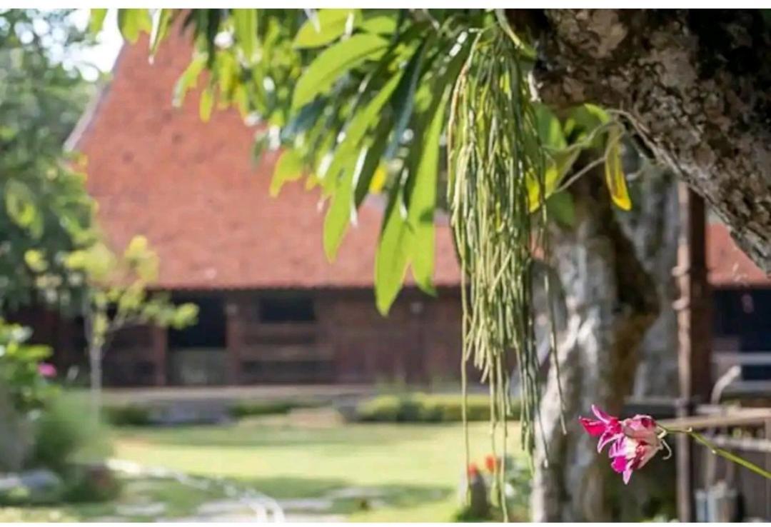 Damai Hotel Canggu Екстериор снимка